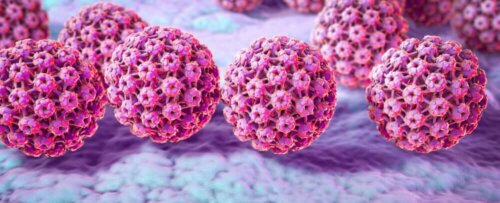 An image of the HPV virus.