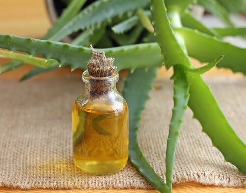 You can use aloe vera for defined curls.