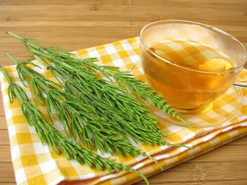 A horsetail infusion to lower your uric acid levels.
