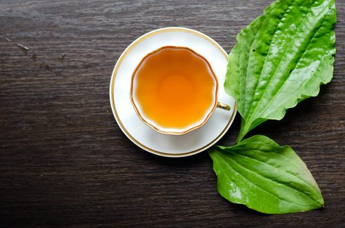 plantain tea