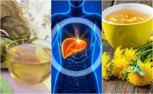 Fight Fatty Liver Naturally with 5 Herbal Remedies