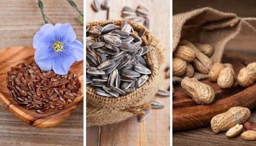 5 Edible Seeds and Their Incredible Properties