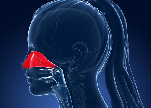 allergic rhinitis illustration of pain