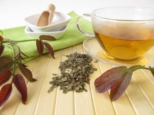 walnut bark tea to reduce dental plaque