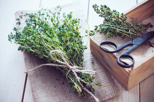 Rosemary.
