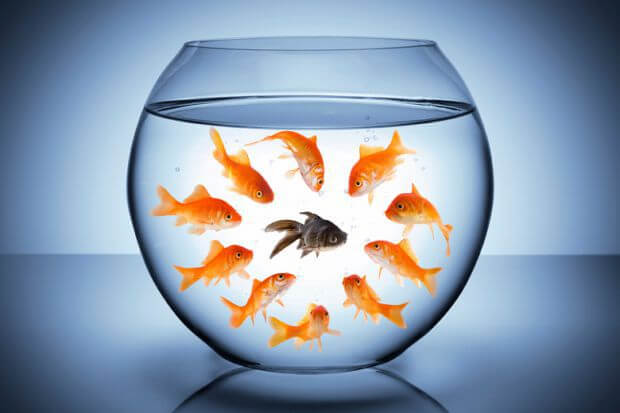 toxic words