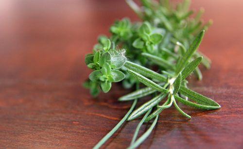 thyme herb