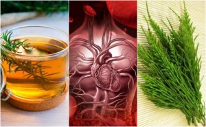 How to Improve Your Circulation Using These 5 Herbal Remedies