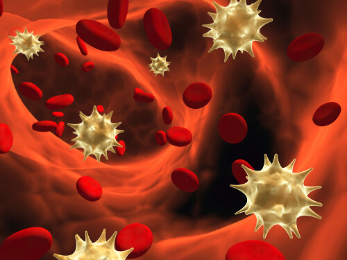 red blood cells