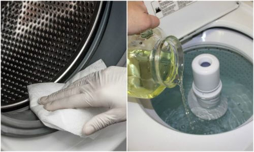 Eliminate Mold From Your Washing Machine With Three Green Solutions Eliminate Mold From Your Washing Machine With Three Green Solutions