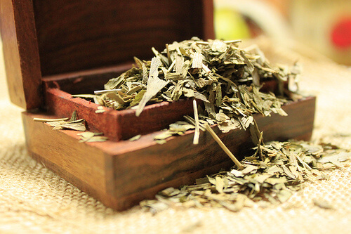 Ginkgo biloba tea to prevent muscle cramps