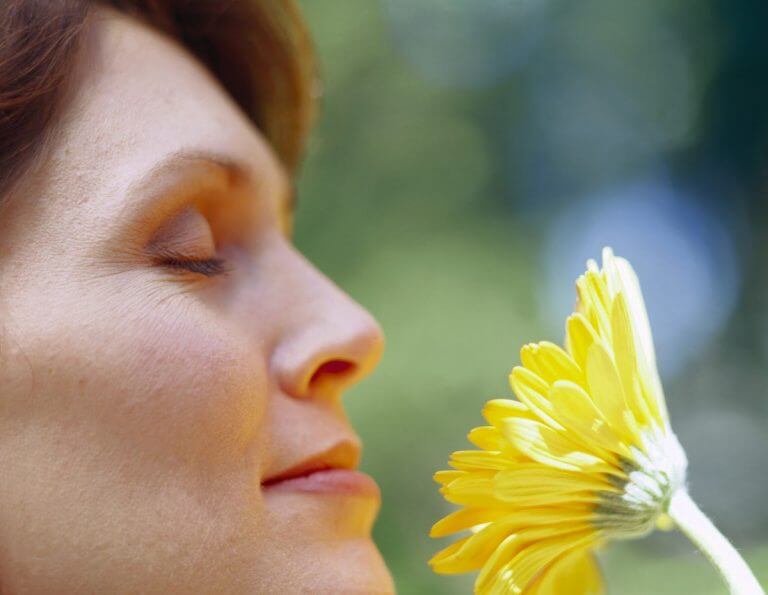 Having a plant at home will make you happy