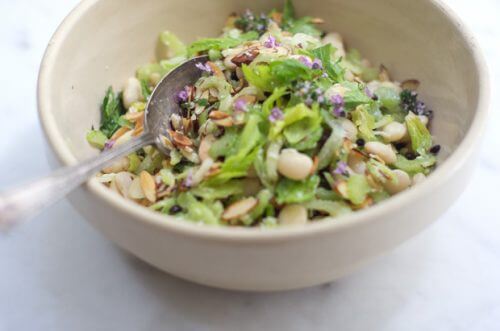 healthy celery salad recipe for the celery diet