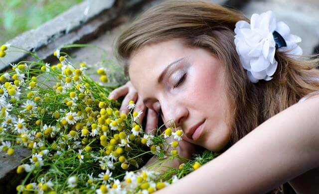 Plants reduce noise levels