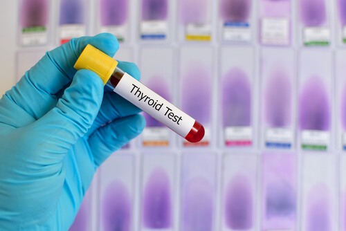 blue medical glove holding thyroid test for hypothyroidism treatment