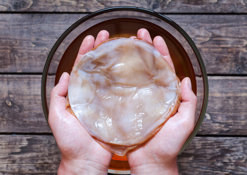 Kombucha