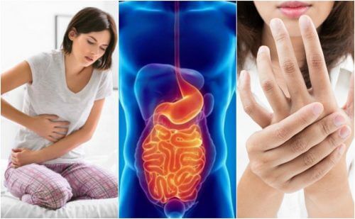 Leaky Gut Syndrome: 8 Symptoms You Shouldn't Ignore