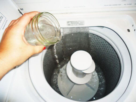 Eliminate mold