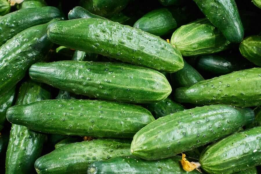 Lots of green cucumbers.