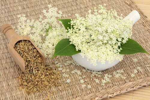 Meadowsweet flower compress