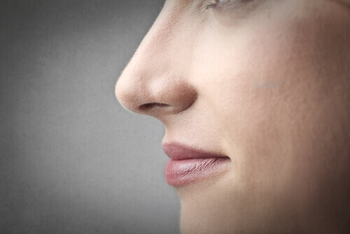 woman's nose