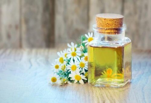Essential Camomile oil