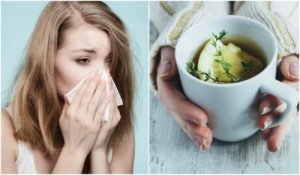 Soothe a Cough with Thyme, Lemon, and Honey Tea