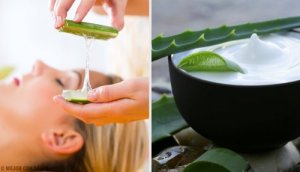 Incredible Natural Makeup Removers Made with Aloe Vera