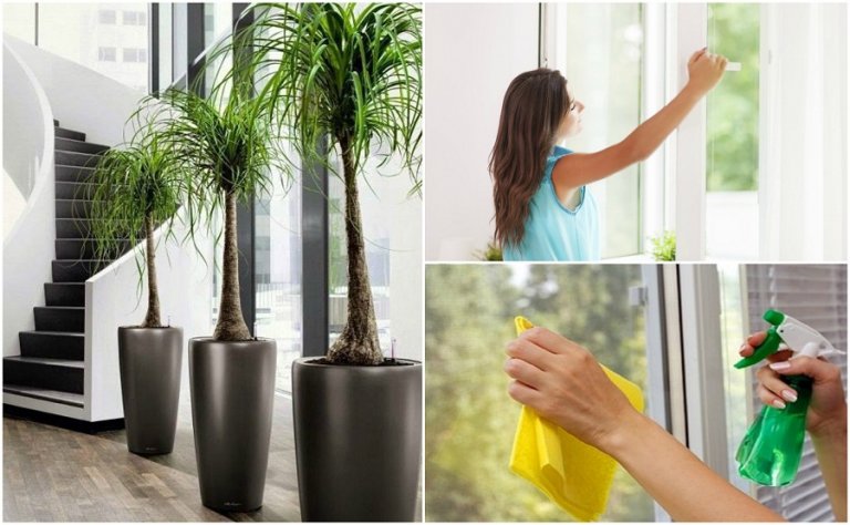 6 Things You Can Do To Improve the Air Quality in Your Home