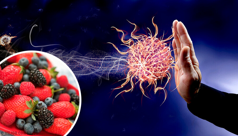 9 Foods That Strengthen Your Immune System