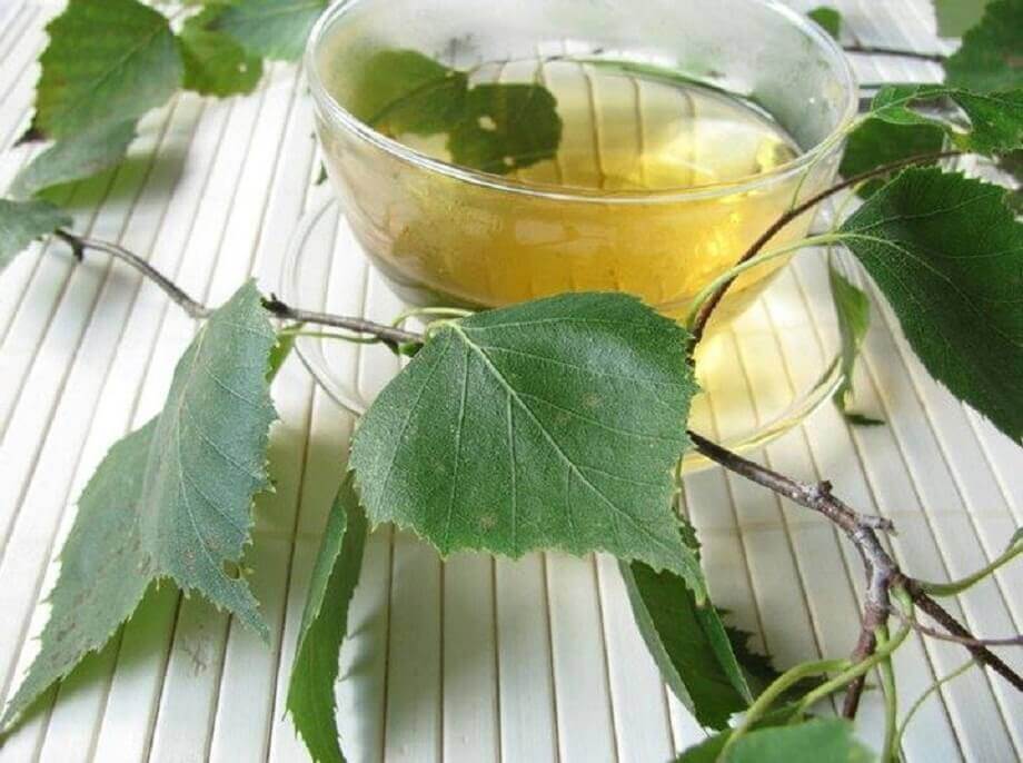 Birkesaft - Midler mod blaerebetaendelse