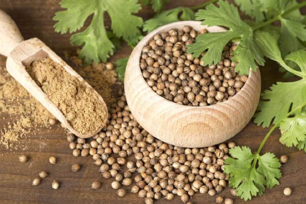 Coriander seeds.