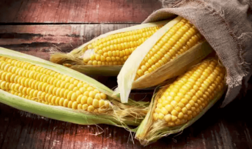 Four pieces of corn.