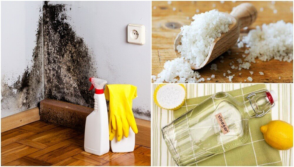 5 Effective Ways to Remove Dampness in Your Home - Step To Health