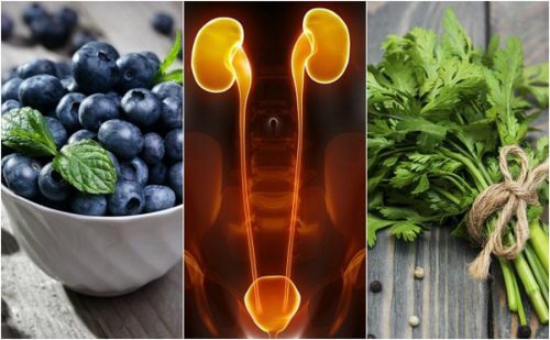 7 Foods that Protect Your Kidneys and Bladder