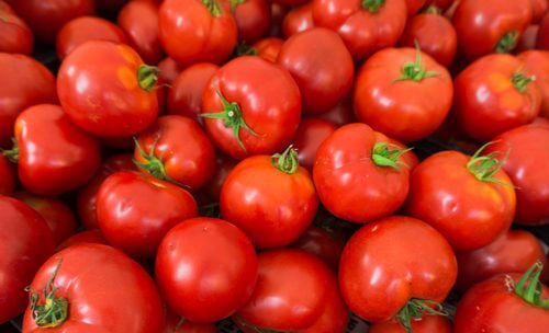 Tomatoes