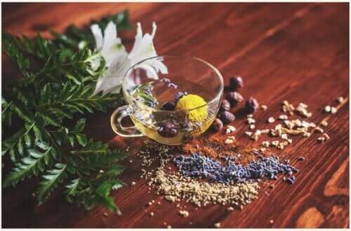 The Health Properties of Herbal Teas