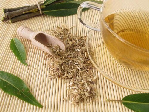White willow tea