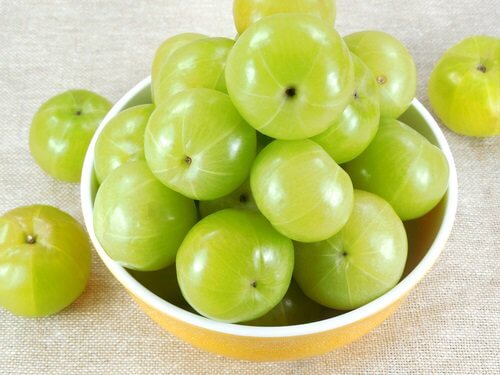 amla fruit as omeprazole alternatives