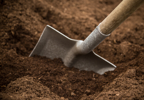 Sandy soil