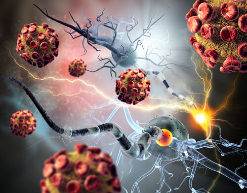 Cancer cells