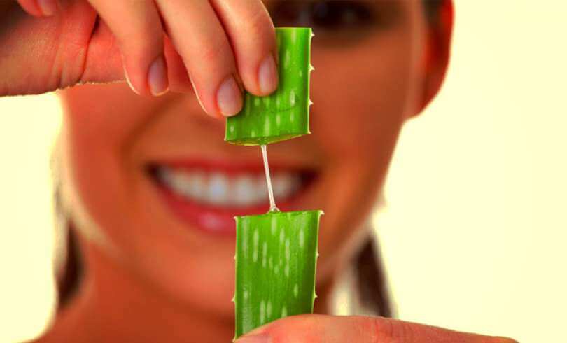 The stalk of the aloe vera plant.