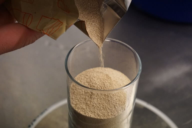 Brewer's yeast