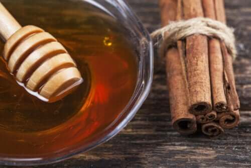 8 Medicinal Benefits of Cinnamon and Honey