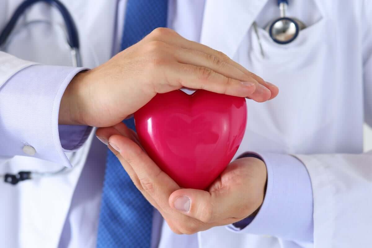 A doctor holding a red plastic heart.