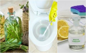 5 Eco-Friendly Bathroom Disinfectants