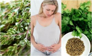 6 Carminative Herbs that Help You Get Rid of Gas