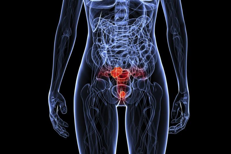 A diagram of a human.