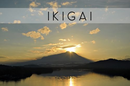 Read About Ikigai, the Japanese Secret to Better Living Read About Ikigai, the Japanese Secret to Better Living