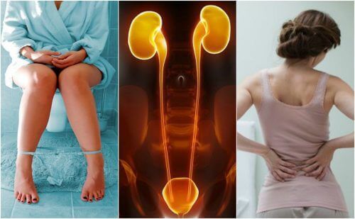Seven Symptoms of Kidney Failure You Should Know